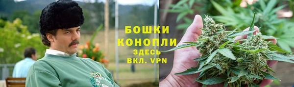 прущие грибы Волосово
