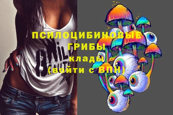 прущие грибы Волосово