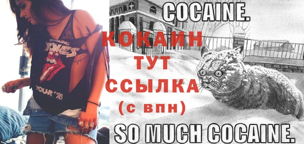 прущие грибы Волосово