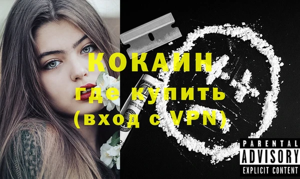 прущие грибы Волосово