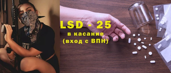 прущие грибы Волосово