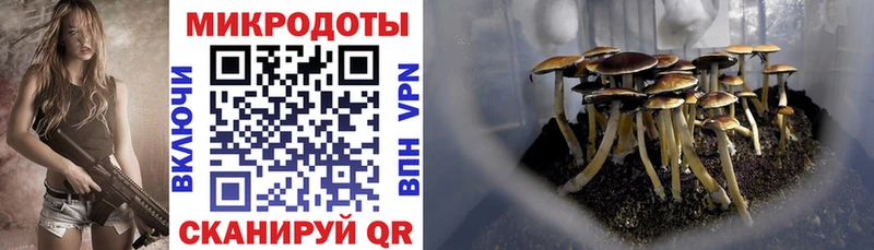 Галлюциногенные грибы MAGIC MUSHROOMS магазин наркотиков Ковров